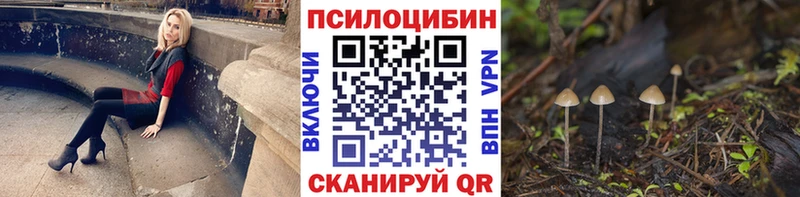 mega ССЫЛКА  Ленинск  Галлюциногенные грибы мухоморы 